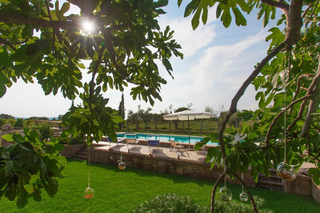 Bed and Breakfast Ficolivo Pitigliano Zewnętrze zdjęcie